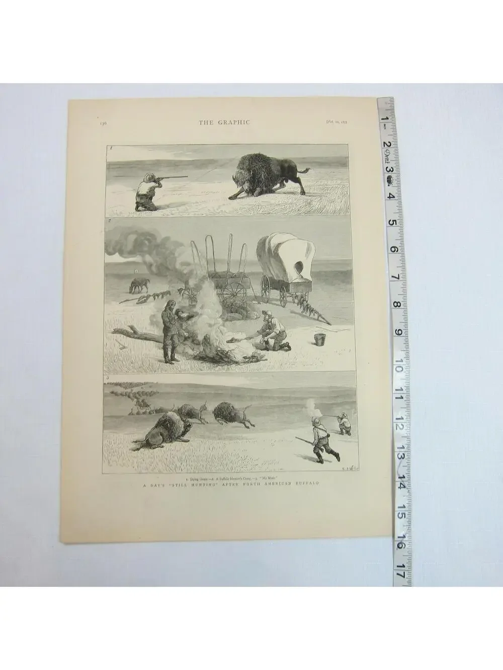 Antique 1877 Print A Days Still Hunting After North American Buffalo The Graphic